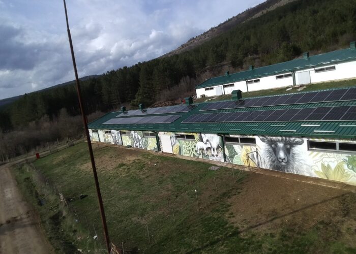 Solarni paneli Beograd - Solar Energy Lazić